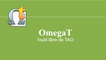 Journée BlueHats OSX 2021 -  Utiliser OmegaT pour préparer les traducteurs à la résilience