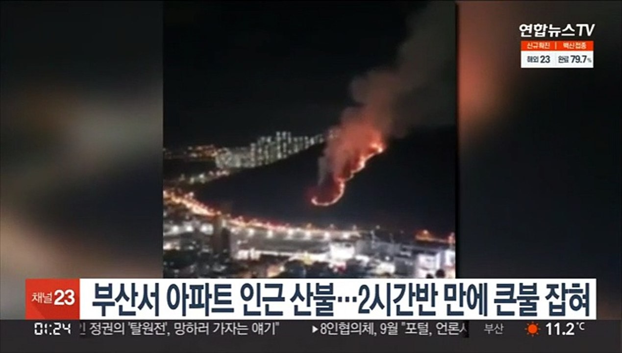 부산서 아파트 인근 산불…2시간반 만에 큰불 잡혀