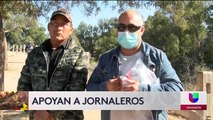 Trabajadores migrantes en busca de trabajo