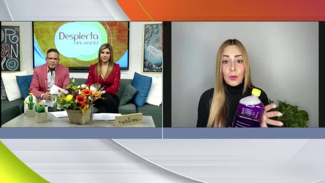 Despierta Orlando 110921