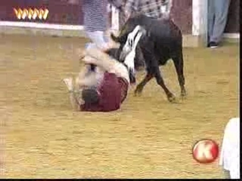 Il torero smutandato