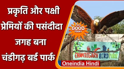 Chandigarh Bird Park को देखने उमड़ी पर्यटकों की भीड़, जानें खासियत और एंट्री फीस | वनइंडिया हिंदी