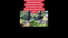 This will make you believe bigfoot is real