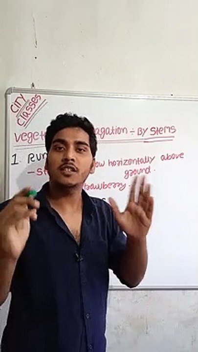 Vegetative propagation-By stems | vegetative propagation-By stems in Hindi | vegetative propagation-By stems biology #cityclasses