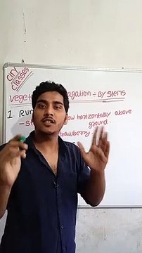 Vegetative propagation-By stems | vegetative propagation-By stems in Hindi | vegetative propagation-By stems biology #cityclasses