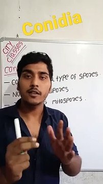 Conidia | conidia in Hindi | conidia biology | what is conidia #cityclasses