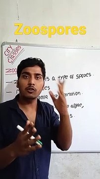 Zoospores | Zoospores in Hindi | zoospores biology | what is zoospores #cityclasses