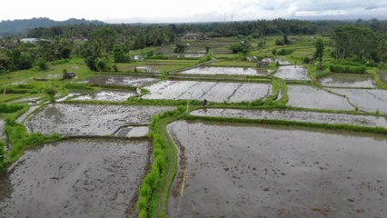 SUPER BEAUTYFULL CAVE , WATERFALL AND RICEFIELD