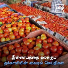 Some Trending Viral Videos Of Tomato