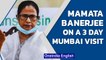 Mamata Banerjee on a 3-day visit to Mumbai, to meet Sharad Pawar & Uddhav Thackeray | Oneindia News