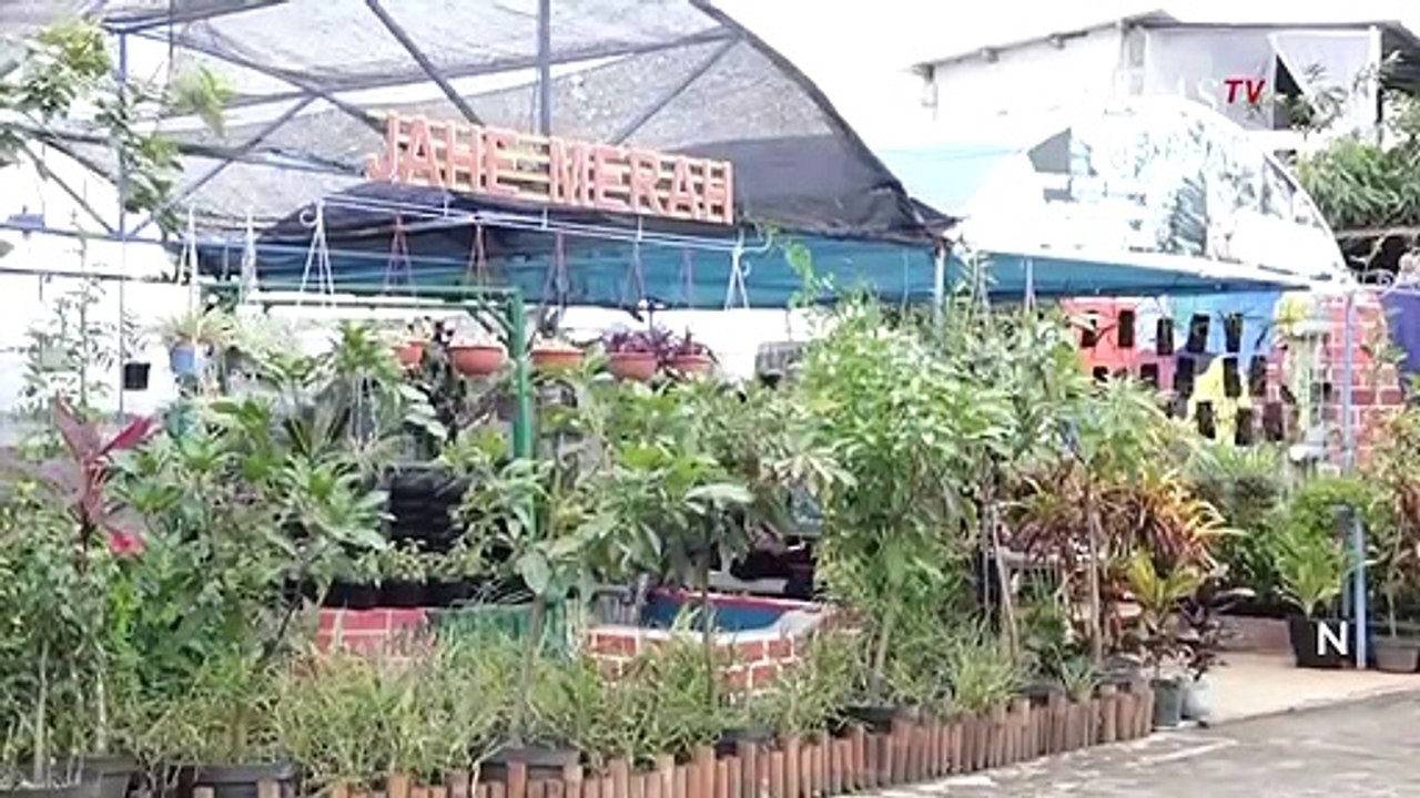 Kampung Jahe Merah, Pusat Budi Daya dan Pengola...