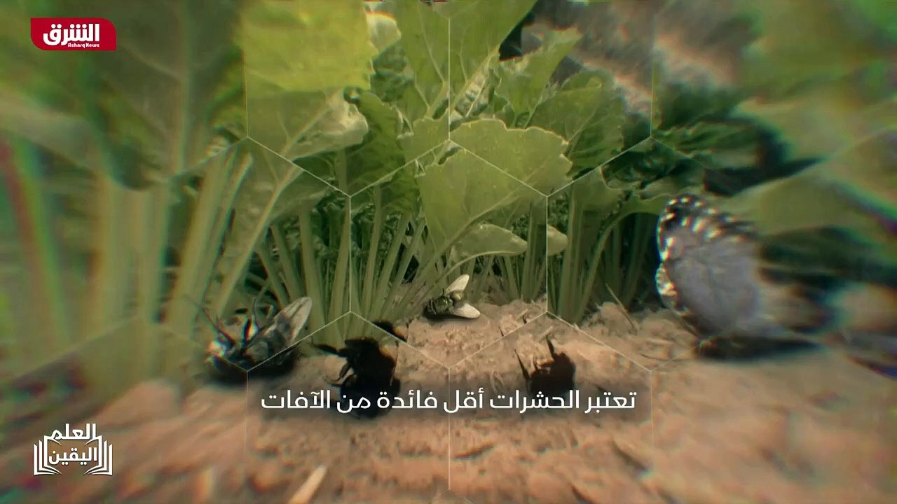 ...نعم...