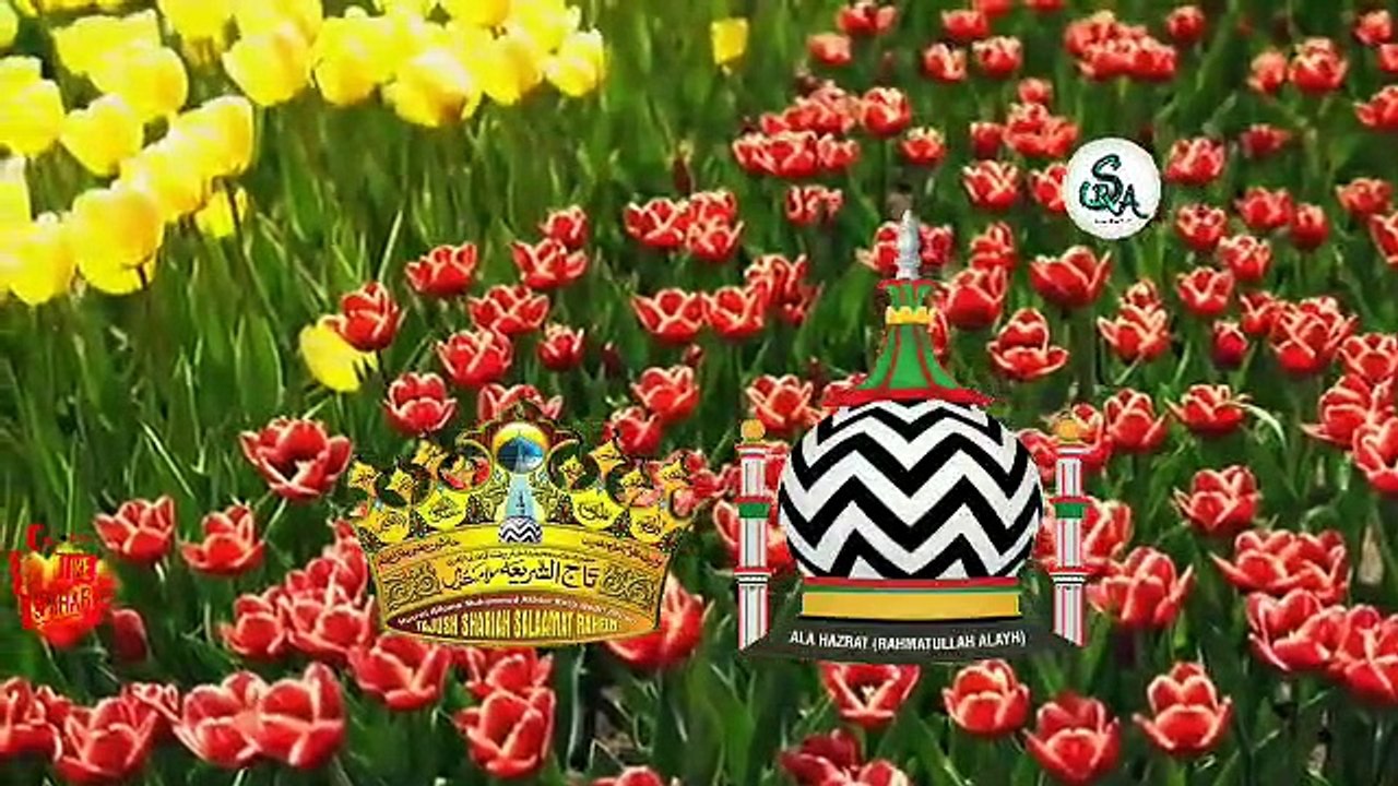 #WADI RAZA KI HAI HIMALA RAZA KA HAI JIS SAMT DEKHIYE ILAKA RAZA KA HAI