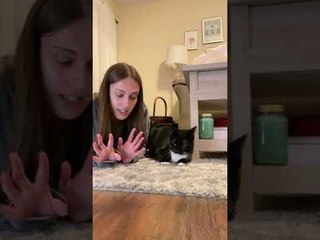 Having A Conversation With Kitty About Bedtime