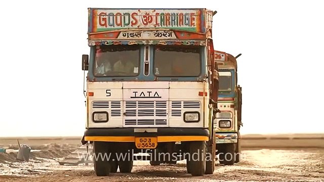 Salt workers loading salt into truck in Rann of Kutch