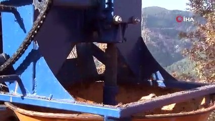 Kışın vazgeçilmez lezzeti kestanenin sofralara yolculuğu başladı