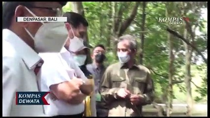 Menko Marves Kunjungi Hutan Mangrove Denpasar