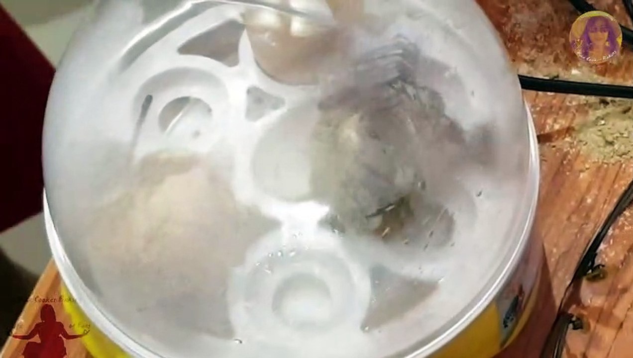 Baby Chicken Hatching from Incubated Egg