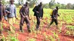 Farmers In Uasin Gishu Petition For Withdrawal Of Harmful Chemical Pesticide