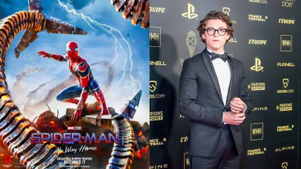 Spider-Man: No Way Home Is Not The Last Flick Of The Franchise, Confirms Producer