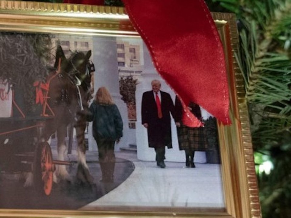 Die Rückkehr des Donald Trump? Darum hängt er an Bidens Weihnachtsbaum