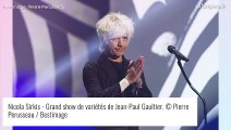 Nicola Sirkis bouleversé par le décès de son frère jumeau Stéphane : 