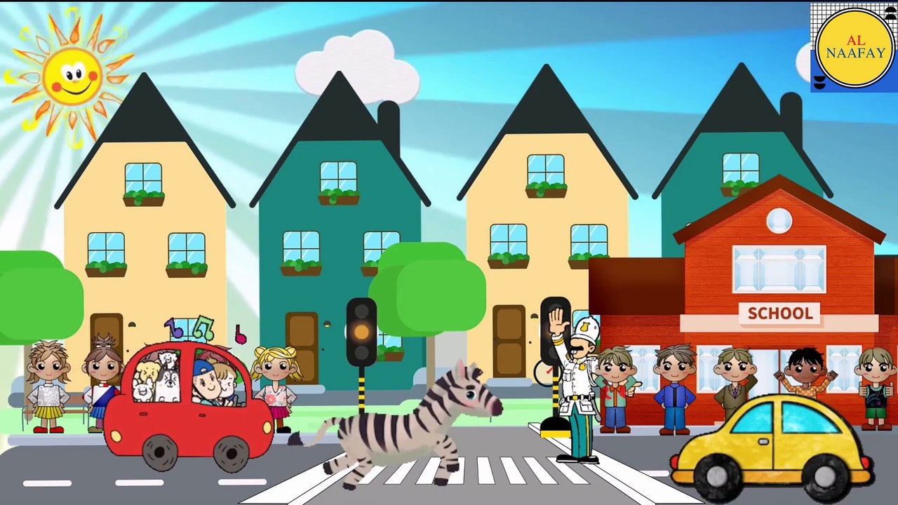 Zebra