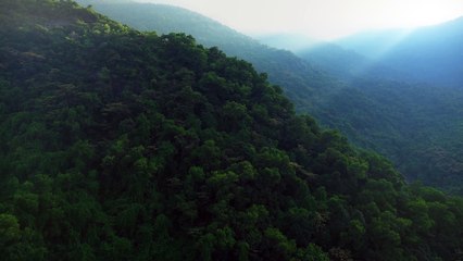 Light Rays Over Green Hillside