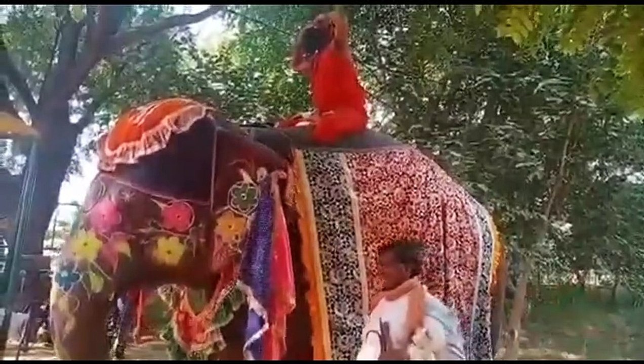 UP Police Found an IronMan