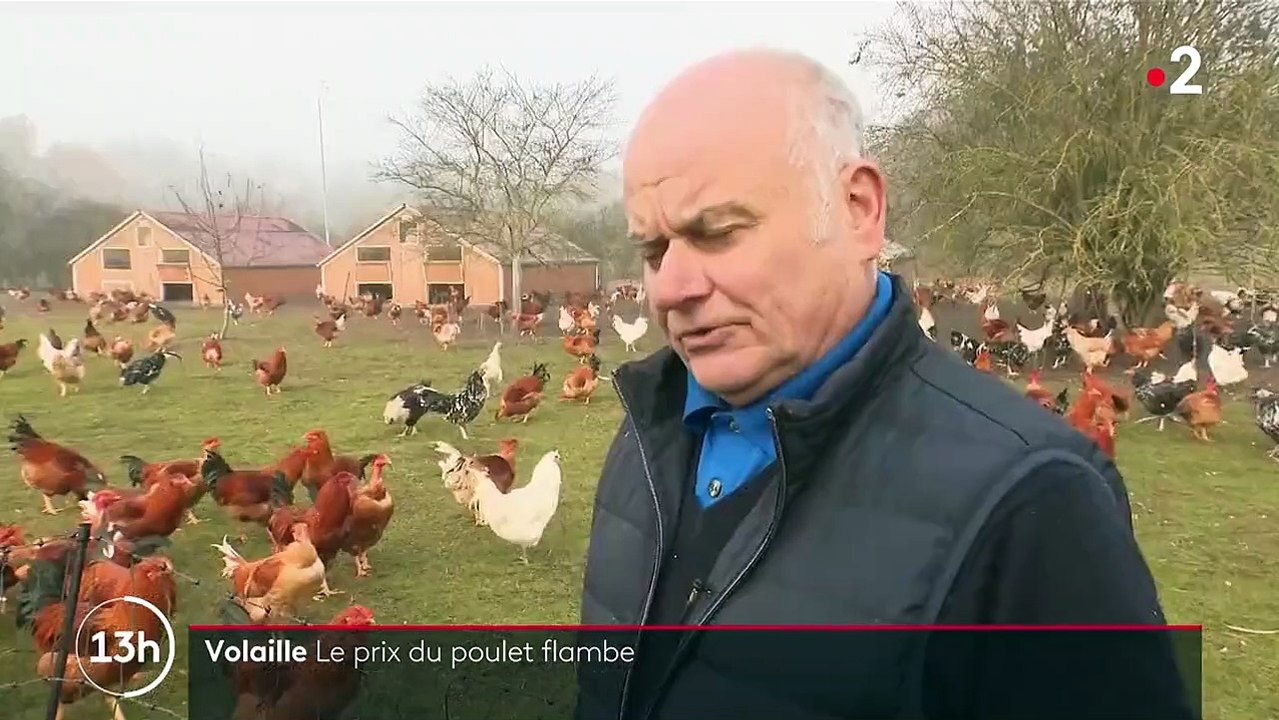 Inflation : le prix de la volaille flambe