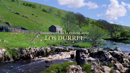 Todas las criaturas grandes y pequeñas - Tráiler Temporada 2