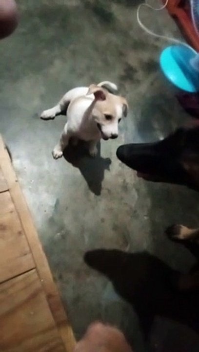 talking