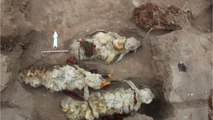 Histoire : découverte au Pérou de restes de lamas vieux de 500 ans
