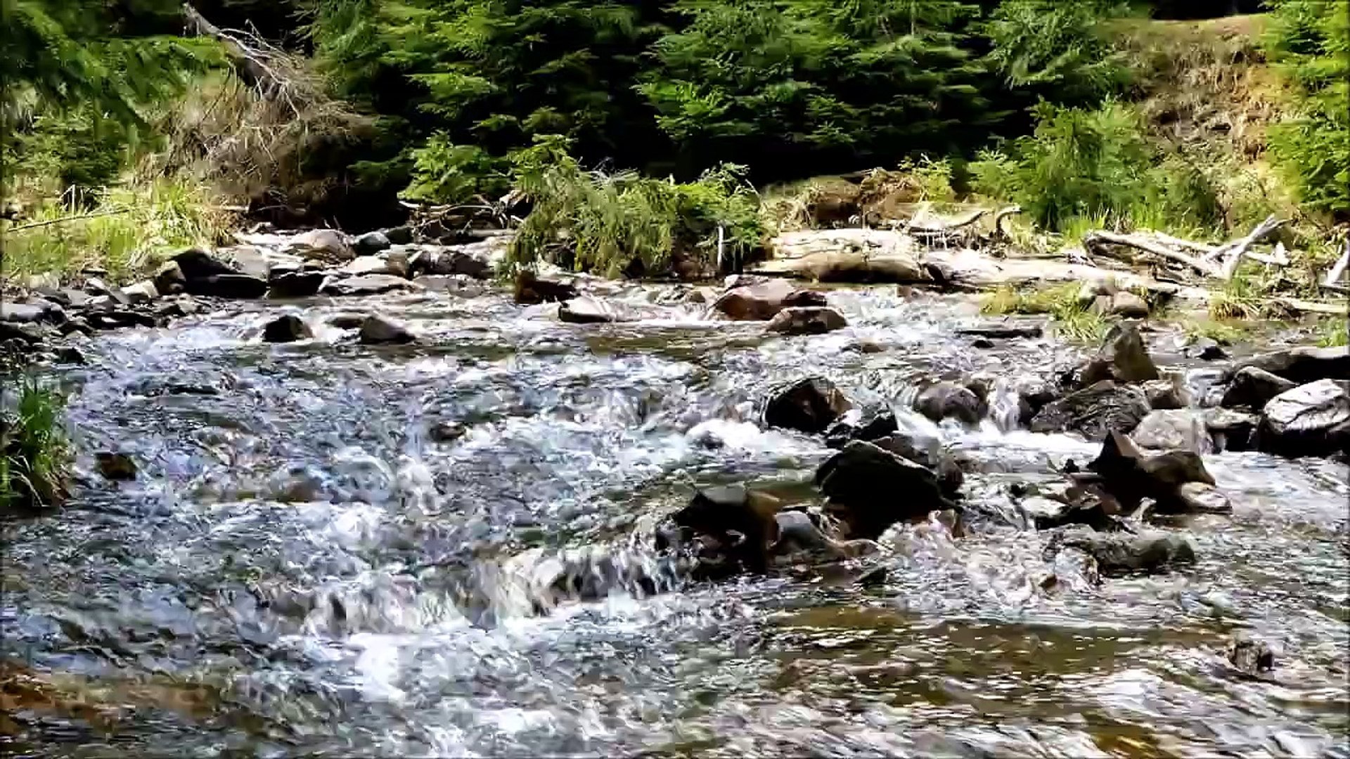 Relaxing Music • Sleep Music, Water Sounds, Relaxing Music, Meditation Music, #relaxation music