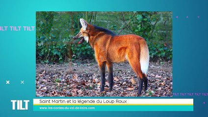 TILT - 30/11/2021 - 2/3 - Une paille bonne à croquer