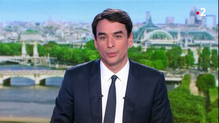 Joséphine Baker au Panthéon : comment se déroulera la cérémonie ?