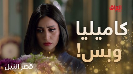 السيدة كاف.. كاميليا تتلاعب بالكل علمود الثروة