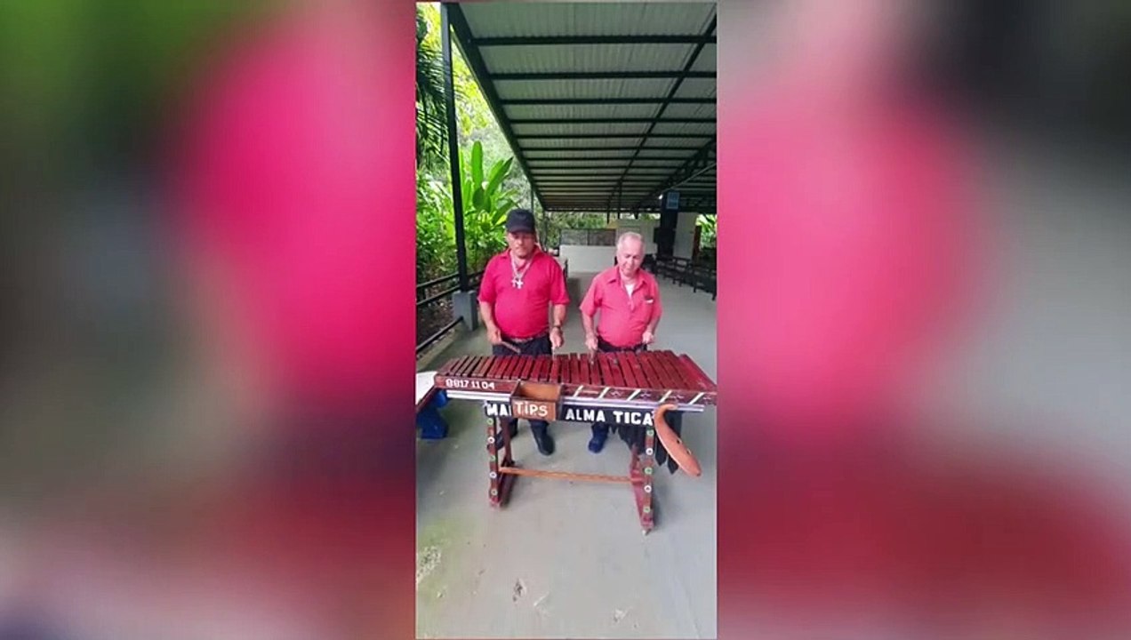 ext-dia-internacional-de-la-marimba-301121