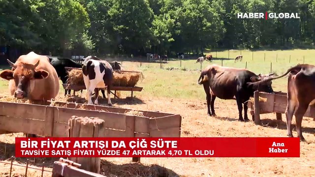 Çiğ süte zam geldi! Tavsiye satış fiyatı yüzde 47 artarak 4,70 TL oldu