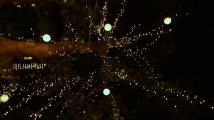 Taylor Swift - The Very First Night (Lyric Video)