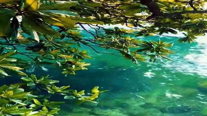 Aşkın Yağmur Hali -Müzik Nezih KARABİBER -Şiir Nilgün PAKSOY -Seslendiren Video Klip Aynur AVCI