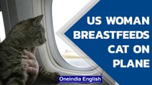 Woman breastfeeds cat on a flight, making passengers feel uncomfortable | Oneindia News