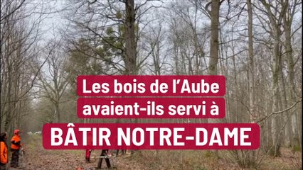 Les bois de l’Aube avaient-ils servi à bâtir Notre-Dame ?