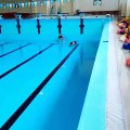 Compétition de natation... dans un bassin vide