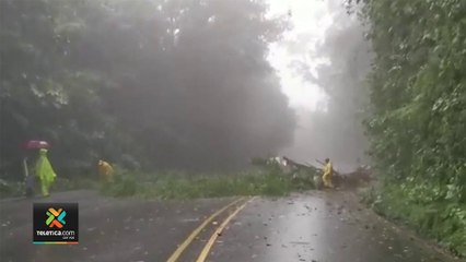 tn7-decenas-de-conductores-esperan-reapertura-de-ruta-32-301121