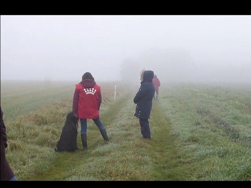 Pistage :  Prat Ar Coum de Ki Denved en échelon 1 à Saint Gonnery