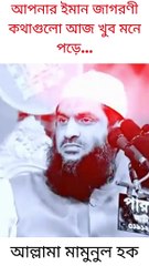 আল্লামা মামুনুল হক