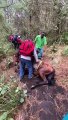 Volcán de Acatenango: Unidad de Bienestar Animal determina que no hubo maltrato animal en el caso de la yegua