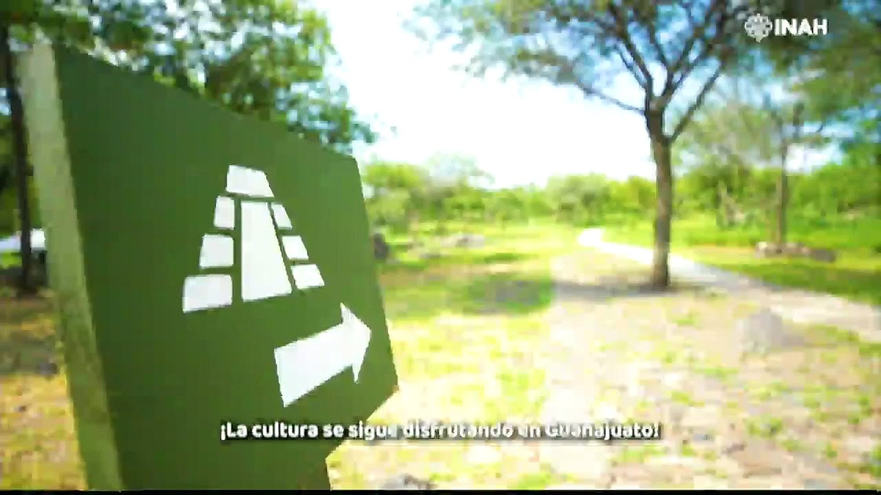 TeleFórmula (1186)