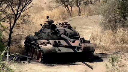 قوات الجيش الإثيوبي تدفع بتعزيزات للسيطرة على بلدة "باتي"